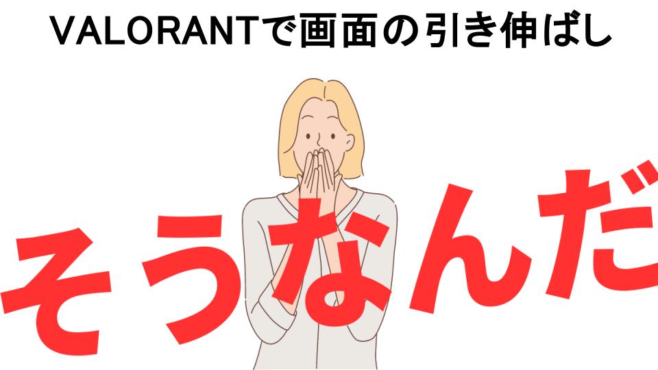 意味ないと思う人におすすめ！VALORANTで画面の引き伸ばしの代わり